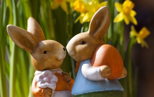 Paasbloemen als cadeau: welke bloemen kiezen voor een persoonlijke touch