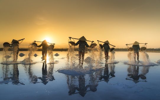 Regenwater-innovaties: nieuwe materialen voor opvangsystemen