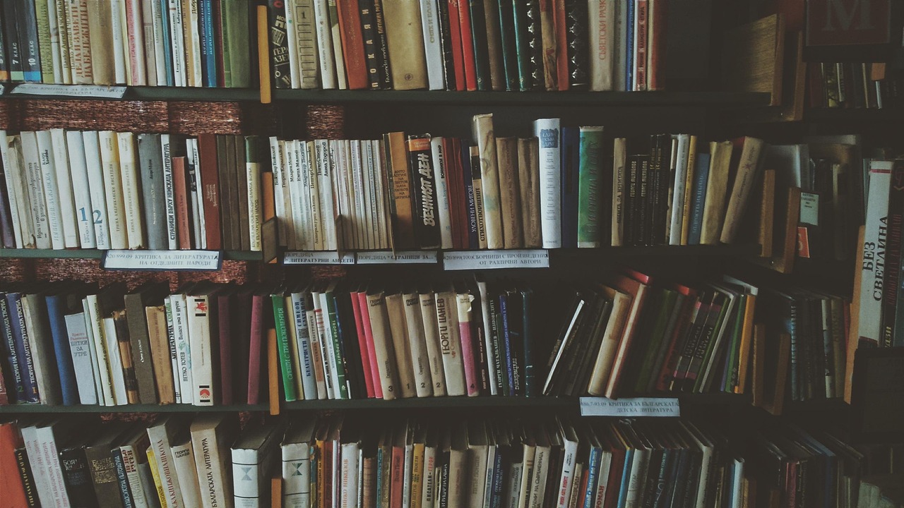Compacte boekenwand met ladder in gezellige werkhoek. Compacte boekenwand met ladder in gezellige werkhoek.
