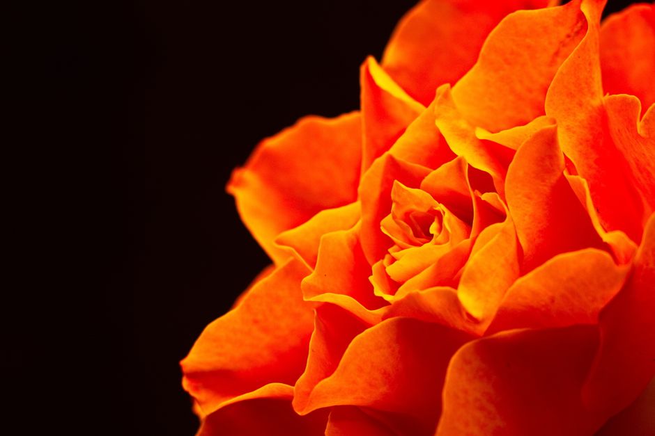 Oranje gordijnen combineren met witte muren. Oranje gordijnen combineren met witte muren.