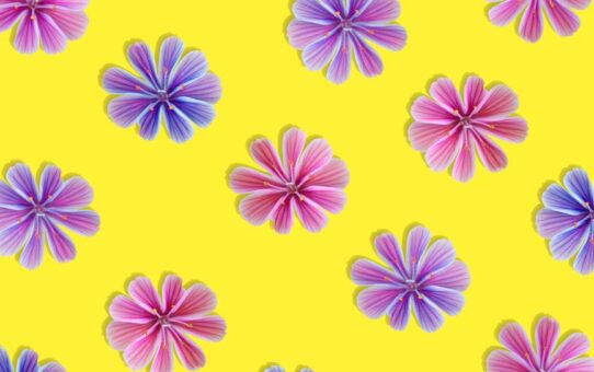 Zomerse kleuren voor binnen en buiten: de invloed van digital lavender