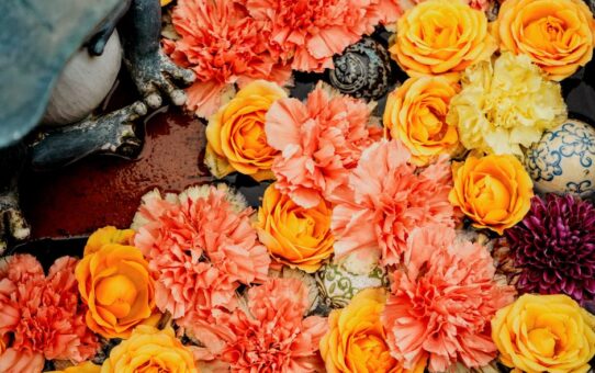 Dynamiek van floraal mozaïek: verweef natuurlijke elementen in badkamers