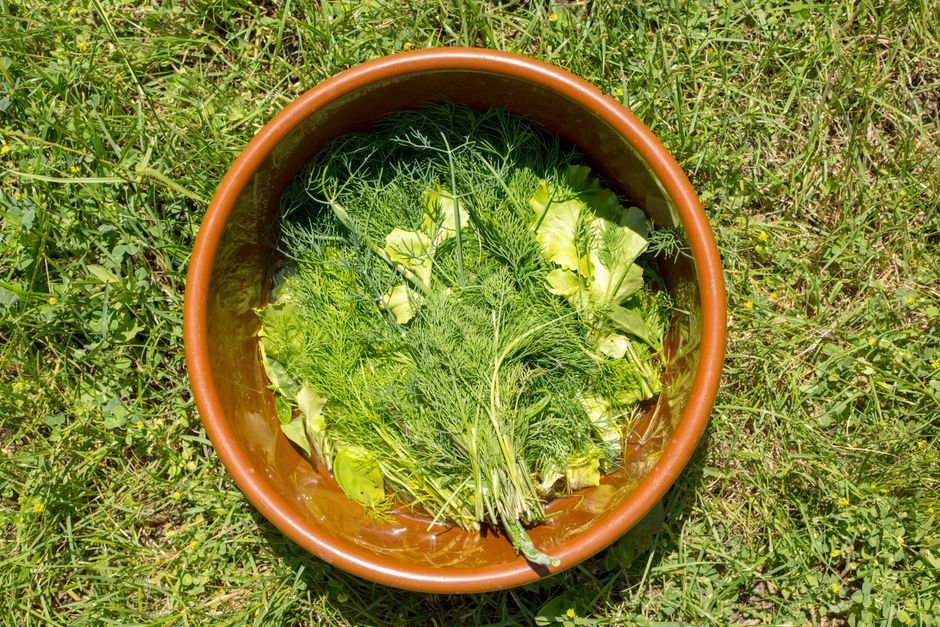 Nazomer salade met verse pompoen en pecannoten. Nazomer salade met verse pompoen en pecannoten.