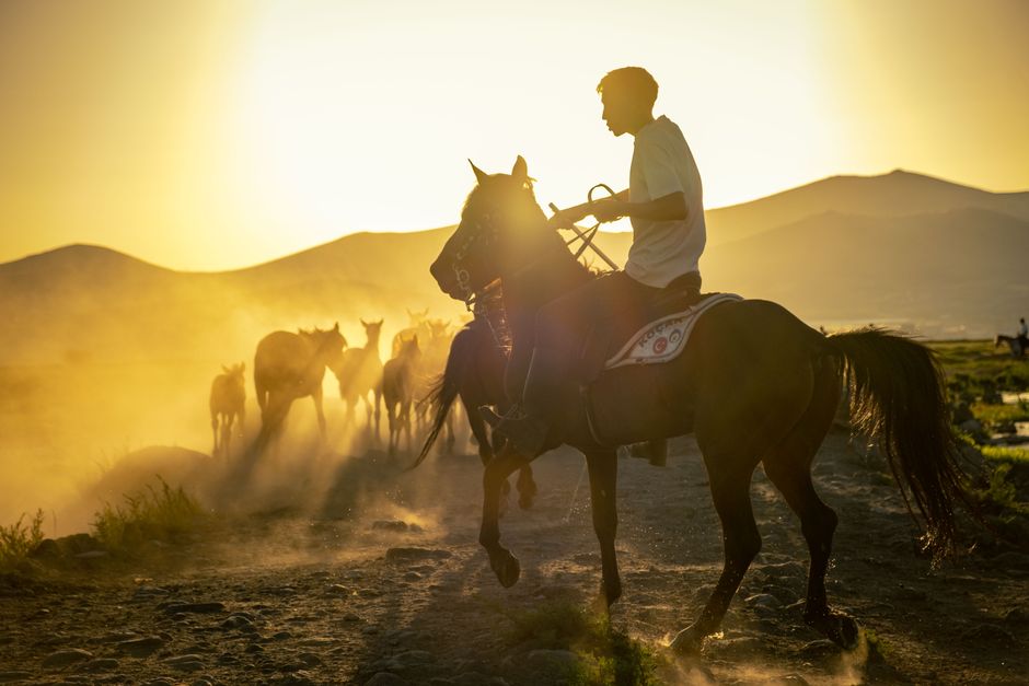 Inspirerende poster met paarden op rennende galop. Inspirerende poster met paarden op rennende galop.